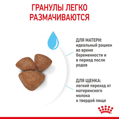 Royal Canin (Роял Канин) Mini Starter Сухой корм для щенков мелких пород до 2 мес, 1 кг