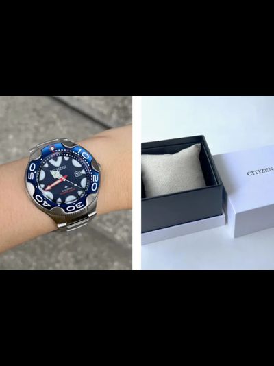 Наручные часы Citizen BN0231-52L