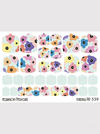 Пленки для педикюра 9,5*13,5 см PR-539