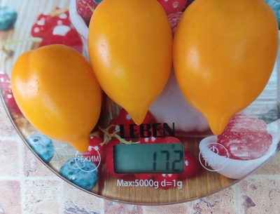 Томат Чудо света