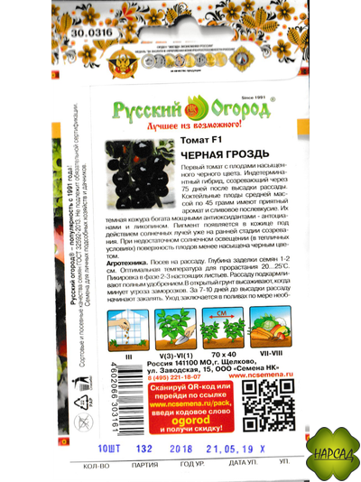 Томат "Черная гроздь" (высокорослый, сливовое послевкусие)