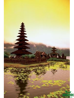 Кофе из Азии и Океании