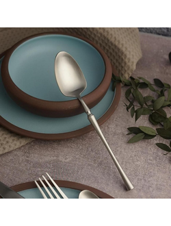 Ложка столовая 19,5 см матовое серебро