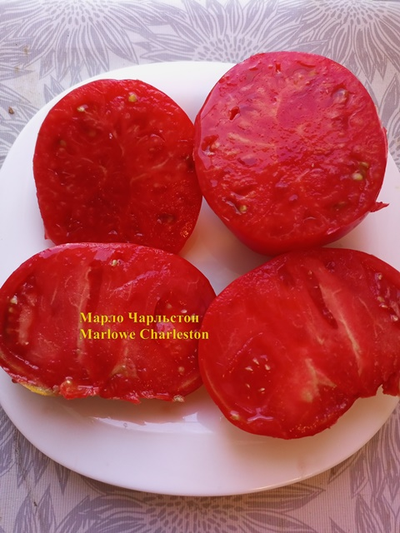 Томат Марло Чарльстон (Marlowe Charleston, Мэрлоу Чарльстон), США