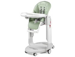 Стульчик для кормления Peg-Perego Tatamia Follow Me Sage