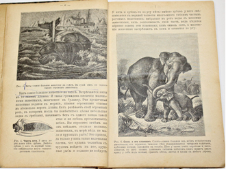 Бэр П. В царстве животных. М.:  Тип. Русского товарищества, 1912