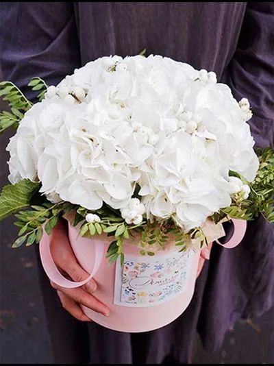 5 гортензий в шляпной коробке