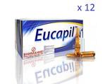 Эвкапил (Eucapil) - эффективное средство для роста волос на 12 месяцев (12 упаковок (30х2мл))