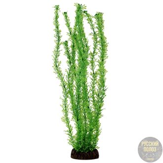 Растение "Лигодиум" зеленый, 400мм, Laguna