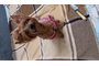 20260419_131949.jpg