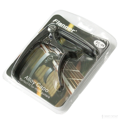 Flanger FC-05 2