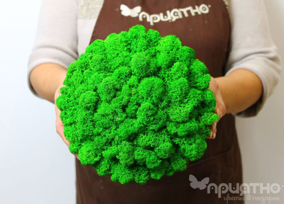 ЖИВАЯ ЭКО-КАРТИНА 1042