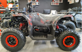 Квадроцикл MOTAX Grizlik T 200