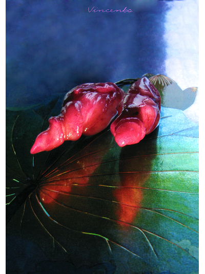 Нежность Востока, Дух Сакуры. Авторские серьги-капли из холодного фарфора