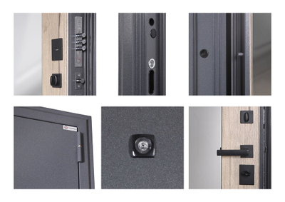 Стальная дверь    Беркут с зеркалом