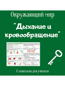Рабочий лист. 3 класс. "Дыхание и кровообращение"