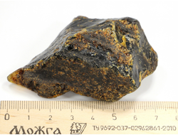 Копал, необработанный "дикий" образец, Индонезия (65*39*35 мм, 38 г) №28348