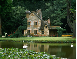 Купить греющую картину с фото замок с лебедями