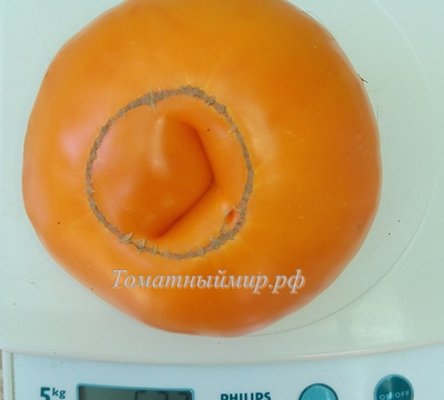 Томат Большой золотой вкусный (Big Golden Delicious)