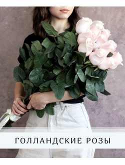 ГОЛЛАНДСКАЯ РОЗА