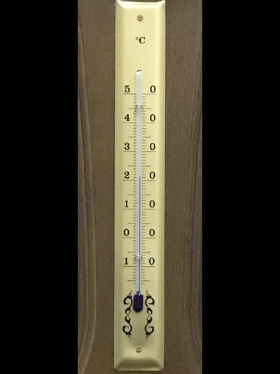 Метеостанция Бриг БМ94045-ЧТГБ-О