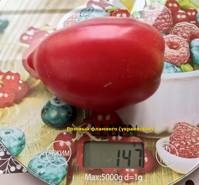 Томат Розовый фламинго (украинское)