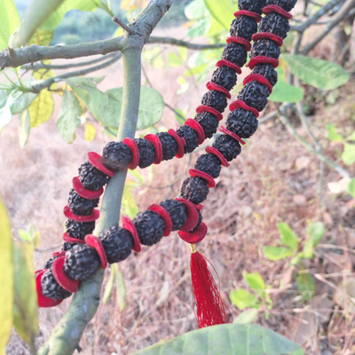 Четки Premium quality из натуральной крупной Рудракши 108 бусин черные