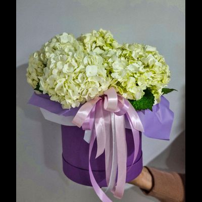 Композиция