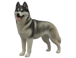 Сибирская хаски (серая) - Коллекционная ФИГУРКА 1/6 scale Husky (QYC003D) - QuanYingCun