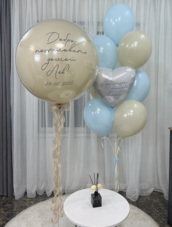 Набор шаров на выписку Тёплая встреча