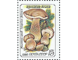 5658. Ядовитые грибы. Желчный гриб