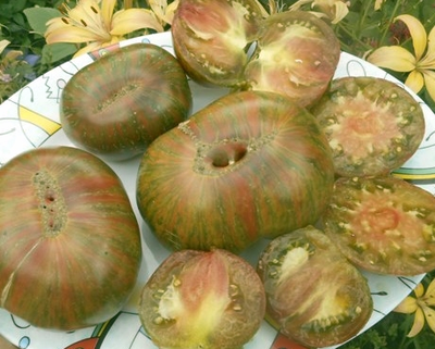 Томат Ананасовая зебра (Pineapple zebra)