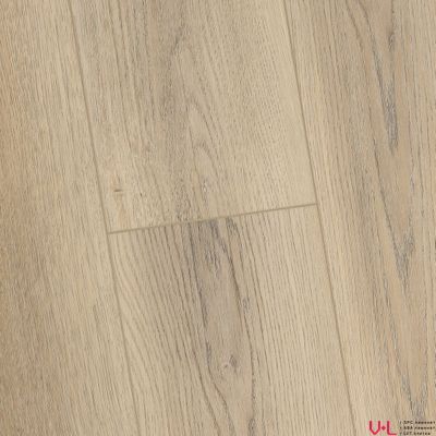 SPC ламинат FirstFloor Белый Дикий Лес 1F001 43 класс толщина 4.0 мм с фаской замковый 2.665 м2