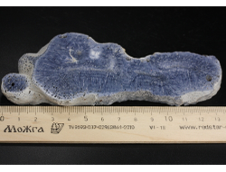 Коралл голубой Акори, Австралия (137*57*14 мм, 129 г) №37716