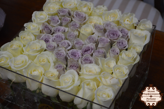 Романтическое свидание. Романтический тур ♡Нежная экскурсия♡. Организация романтических свиданий.