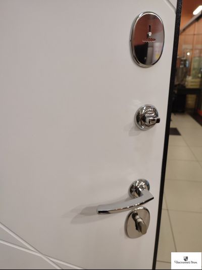 Дверь металлическая Граффити 5