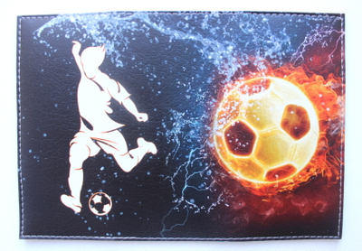 Обложка для паспорта "Огонь-вода"