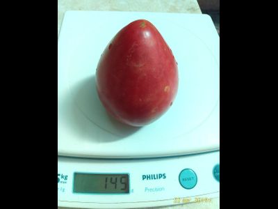 Томат Люсиль Тилсон (Lucille Tillson) США