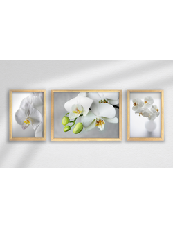 Набор постеров в раме из 3 шт.,  дерево, ПРН-163