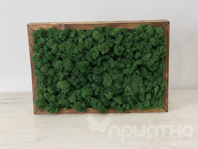 ЖИВАЯ ЭКО-КАРТИНА 1052