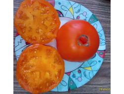 Томат Кубинский сладкий