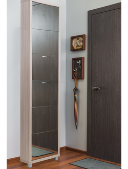 Обувница Айрон-6 Люкс (фасад Зеркало)