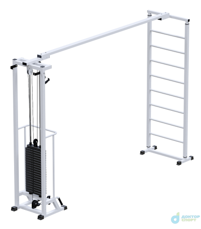 "Биотонус"  100 кг со шведской стенкой