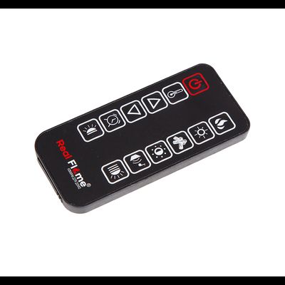 Линейный электроочаг Alpha Log