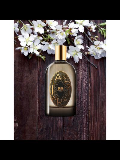 Ilanguara - PHAEDON PARIS