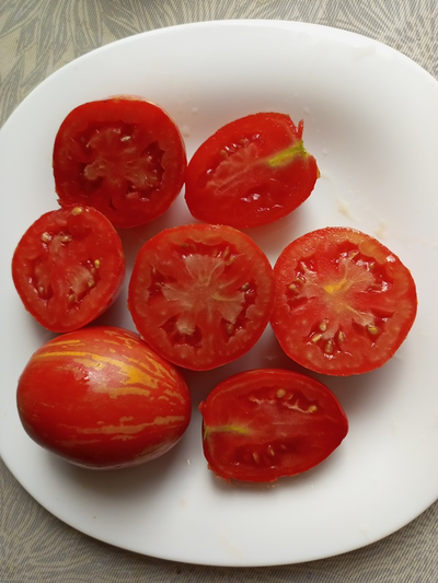 Томат Шаймет Криг (Schimmeig Creg), США