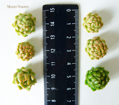 "Мини суккуленты" Силиконовый молд