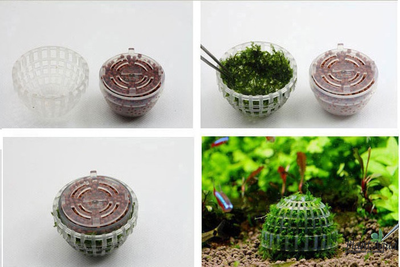 Декорация для мха Moss Ball (полусфера)