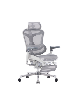 Ортопедическое кресло SIHOO Doro C500 | серо-белое