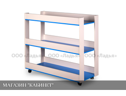 Стеллаж для спортинвентаря СПОРТИВНЫЙ